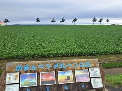 道の駅から少し歩いた所に
メルヘンの丘があらります。