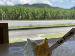 再びのラフォンテ。
同じ席で食べたのですが、赤い花は既に落ちていたので、さとうきびをバックに写真を撮りました。
