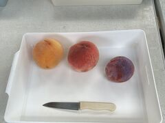 お昼の後は、白桃とすももの食べ放題。

私はトレーに乗ってる分を食べて満足！
もういいの？とおじさんに言われてしまいました。
とっても甘くて美味しかった。

他の方の食べっぷりは、皆さん見事でした。
これがメインイベントだったのです、このツアーの。

幼馴染も好戦しました。
食事制限のある人ですが、だいたいのフルーツは食べて良くて、
本人もフルーツは食べれるらしく、
久しぶりに美味しそうに食べてる友人を
見ました。