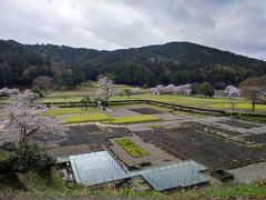 発掘された建物の基礎部分が、ガラス張りの台から、間近に見学できます。