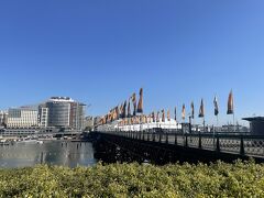 ピアモント橋は今日もきれい。

旅の3日目に歩いて渡ったんだよね。
今回のシドニーは6泊するからまだまだ日があるなって思ってたのに、過ぎてみると意外と早かったなー！