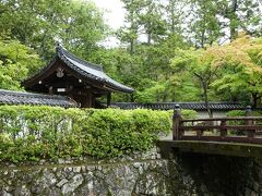 　地蔵院から石段を下りて少し歩くと西芳寺の総門。