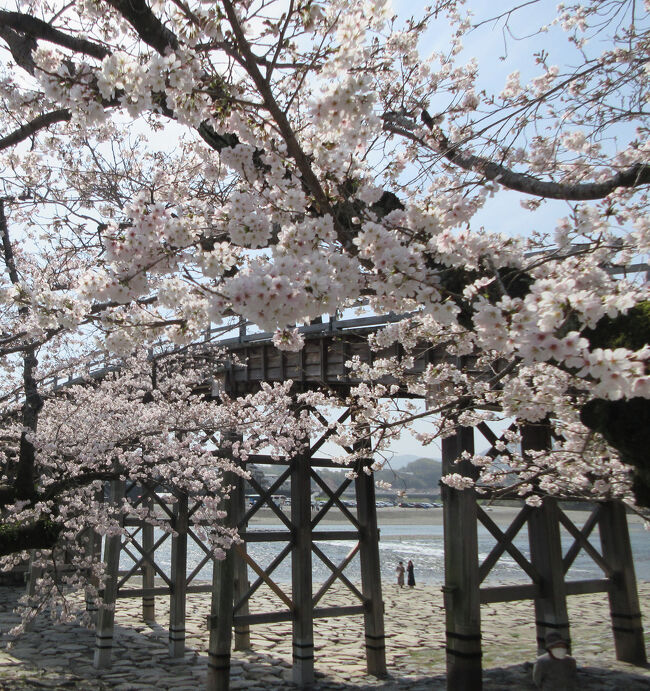2023年3月 広島県・宮島 桜を求めて散歩をしました。』宮島・厳島