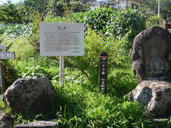 棒道には江戸時代、６観音（馬頭観音、聖観音、不空羂索観音、千手観音、如意輪観音、十一面観音）の石仏が数百メートルごとに置かれました。
旅人の目印になっていたのでしょう。