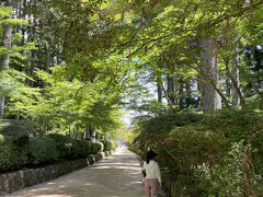 檀上伽羅から金剛峯寺は蛇腹路でつながっています。壇上伽藍を頭として蓮花院（れんげいん）までを龍の形に例え、ちょうどこの小道が龍のお腹付近にあたることから蛇腹路と呼ばれるようになったとのこと。冷んやりしていて気持ちいい。