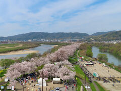 　さくらであい舘は、木津川、宇治川、桂川が出会う三川合流地点に、地域間交流や地域振興、観光周遊の拠点、人・物・情報が出会う場所として、平成29年3月に設置。高さ約25ｍの展望台に上り（1人300円）、桜並木を一望。