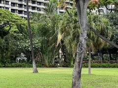 Fort DeRussy Beach Park

ハートの木を見に


