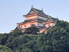 朝日を浴びる和歌山城。大小天守が眩しそうに照らされています。