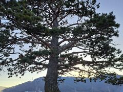 平出一里塚
日本橋より59番目の一里塚です。

