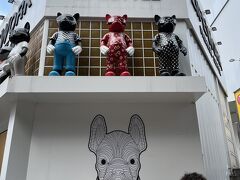 ホテルで休憩してから、明洞にやってきました！
ここがあの有名な明洞なのね！