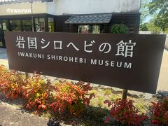 岩国は錦帯橋と鵜飼と白蛇ってことなのですが
蛇はちょっとご遠慮したいので看板だけでご勘弁
入口付近には白蛇さまのフォトがあった気がするが
気のせいだと思いたい・・・