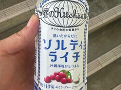 ロープウェー待ちの間に
水分補給と塩分補給を同時にします
生き返る気がする・・・
