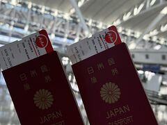 この旅は福岡空港発。
私は東京に住んでいますが、お友達と待ち合わせるため福岡で1泊。
8時15分発。エアアジア航空でバンコクまで5時間半のフライトです。
この日、同じくバンコクに行く次の便（ベドジェットエア航空）は約1時間遅れ。
こういうのは運ですよね。

航空券はかなり調べた結果、エアアジアは早めに取る程安く、ベドジェットエアは2ヶ月切ってから直前に向けてどんどん安くなるようです。片道1.5万～5万くらいとかなり違ってくるので、ベドジェットエアで行く方は直前まで粘ってみる価値ありです。
今回行きはエアアジアだったので、6ヶ月前に取りました。