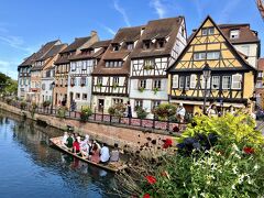 プチヴェニス。