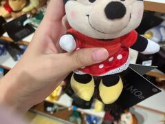 ディズニーストアやボンボヤージュでお買い物もしました。