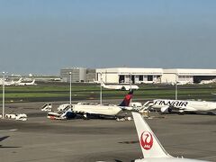 お決まりの展望デッキ