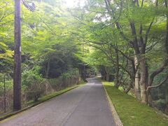 9時にチェックアウトし、延暦寺へ。
横川エリアから回ります。
人はほとんどおらず、しっとり静か。
