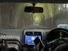 もちろんGrabで。
クタからスミニャックまで、Rp65900＝￥654。
うん、移動費が安いのもバリの魅力。