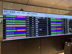 新潟といえばかつて北陸周りで行ったことがありました。しかしこんなに東京から近いと思いませんでした。東京から越後湯沢までは「とき２３１号」で約１時間半。