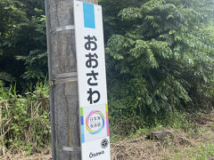 10分程度で到着しました。大沢駅は、自然あふれる無人駅だった。