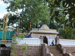 　インドのアショカ王の娘サンガミッター尼によってもたらされたスリー・マハー菩提樹。お釈迦様がこの木の下で悟りを開いたといわれるブッダガヤの菩提樹を株分けした木で、記録に残る樹齢2000年の世界最古の木。