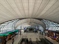 毎度のことながら、この空港は縦に横に広すぎる。