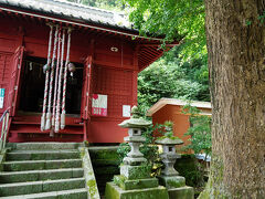突き当りに、小さな社があった。白髭神社であった。紅色の社殿が艶やかで、その前には、大きな銀杏の木が立っていた。ここで、小網代にお邪魔する挨拶をした。この社には、三浦七福神のひとつである長安寿老人が祀られている。