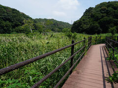 峠を降りると、湿原のような場所に出た。立派な木道が敷かれている。