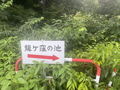 気を取り直してここから30分バックして、「竜の伝説が残る決して濁ることのない神秘の池」龍ケ窪の池へ。