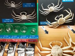 越前がにミュージアム