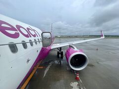 8/20　9:20発 の peach で札幌から成田へ。