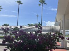 快晴の宮崎ブーゲンビリア空港
さあ夏旅宮崎ＧＯＧＯしよう