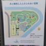 夏の滋賀県1日目　睡蓮と蓮