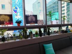リエンジャン。植物いっぱい。
