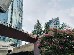 メセナポリス
