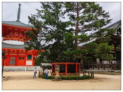 壇上伽藍
三鈷の松(さんこのまつ)
弘法大師が日本で密教を広める場所としてふさわしい地へ届くようにと、唐の国から三鈷杵を投げたらこの松の木の枝に引っかかったという伝説があります！
みなさん三つ葉の松を探してらっしゃいました(^^)