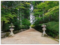 壇上伽藍
来た時とは違う道から帰ります！
