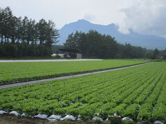 下山して野辺山駅へ向かう。
八ヶ岳山麓に高原野菜の畑が広がる。