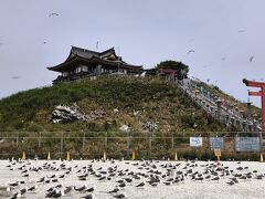 八戸に着いて、まず初めに向かったのが蕪島