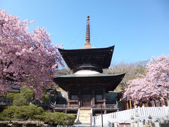 富谷山ふれあい公園から車で２０分ほどで、雨引山楽法寺へ到着します。境内に入ると、多宝塔を囲む美しい桜に圧倒されました。まだ桜には少し早いと思っていたので、大変嬉しい驚きでした。