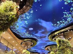 21：45　チャンギ国際空港ターミナル2到着。
何じゃこれは。
きれいだったよ。
ターミナル1に移動して滝は終わってました(´；ω；`)ｳｩｩ
経由便で来る悲しさね。