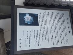 近江妙蓮公園に着きました
近江妙蓮は、雌しべと雄しべが無く、花弁だけで花が作られた変わった蓮
花弁は、二千枚から多いものでは八千枚を超えるものもある
変わった蓮なので、「妙蓮」