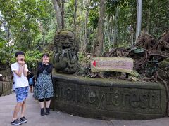 プール満喫後、Grabでモンキーフォレストへ。(入園料はRp80,000のところklookでRp50,000）