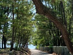 地図上に気になる雰囲気の神社が出てきたので立ち寄ります。

参道の先に海が見える(*⁰▿⁰*)
素敵です。
