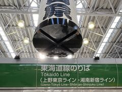 横浜から45分ぐらいで小田原に到着
駅には大きな提灯