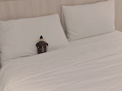 21:40　
【東龍大飯店】
無事に到着。レインコートが地味に重かったー。
とリュックを置いてベッドを見ると
置いて行かれ恨めしそうに見ているコムサが。

そして今頃になってお腹が空いてきた
あー、澎湖で海鮮食べたかったなー。
でもあの時はとてもとても…。

なんて思いつつ、
地図見て寧夏夜市がまだやってそうなので行ってみることに。
夫とlineして「チャリで行こうかと…」「暗いんだからチャリはダメ」とかとか
結局22時ぐらいにホテル出てバス乗って