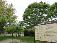 瓢亭を後にして近くの岡崎公園へ。内国勧業博覧会跡地に作られた岡崎公園には動物園、美術館、図書館、野球場、テニスコートがあります