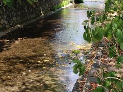 京都ホテルの東側を流れる高瀬川。元々は物流のための運河ですが、現在は深さもなく、夏場は心地よい小川です