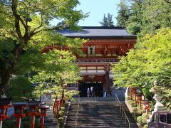 最後に訪れたのが京都の北を守る鞍馬山。鞍馬山の入り口でもある山門の前も青紅葉が綺麗に見えました