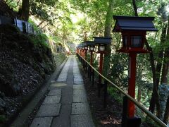 多宝塔駅を下りた後は、写真の様ななだらかな坂道の参道を進んで行きます。麓からの九十九折参道と合流した先は本殿金堂に向かう石段を登らなければなりません